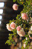 适马（SIGMA） 56mm F1.4 DC DN｜Contemporary 半画幅大光圈定焦镜头 人像肖像特写 佳能RF卡口 官方标配（下单送主图配件） 实拍图