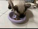 Orijen渴望猫粮 成猫幼猫干粮 全价通用无谷原味鸡肉进口5.4kg效期25/12 实拍图