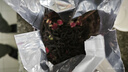 中谷御品茶叶 玫瑰红茶新茶正山小种重瓣红玫瑰窨制父亲节茶叶礼盒100g 实拍图