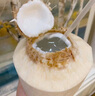 品赞 泰国椰青9个原箱 单果净重700-900g 椰子新鲜水果泰国香椰 实拍图