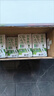蒙牛全脂纯牛奶整箱 250ml*16盒 优质生牛乳 礼盒装（部分地区3月产） 实拍图