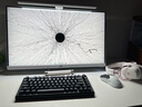 雷蛇（Razer）雷蛇（Razer）毒蝰V3pro专业版 v2pro 618游戏电竞耿鬼无线宏外设鼠标 英雄联盟吃鸡CSGO黑神话 毒蝰V2专业版 白色(3950引擎 无线+有线) 实拍图