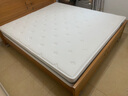 喜临门黄麻床垫 抗菌防螨独袋弹簧床垫 护脊透气席梦思 千帆1.8x2米偏硬 实拍图