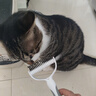 HELLOJOY宠物开结梳猫梳子狗猫毛梳狗毛清理器猫咪狗狗梳子长毛去浮毛神器 实拍图