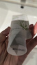 泉兮天然芦荟胶修复皮肤晒伤晒后修复正品祛痘痘印淡化疤痕凝胶100% 实拍图