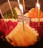 味多美 新鲜蛋糕 生日蛋糕 北京同城配送 水果蛋糕 奶油蛋糕 缤纷盛果 原味蛋糕杂果夹心直径20cm 实拍图