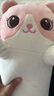 捉趣（ZHUOQU）猫咪抱枕公仔毛绒玩具女孩长条玩偶冰丝睡觉夹腿抱枕女生生日礼物 粉色【独立内胆】 70cm 实拍图