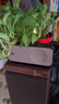 Bose【宋雨琦同款】国家补贴 SoundLink Home 蓝牙扬声器–暖木 无线蓝牙音响 居家艺术音箱礼物 实拍图