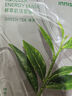 悦诗风吟（Innisfree）鲜萃肌活面膜[绿茶]10片保湿补水舒缓修护提亮改善暗沉 实拍图