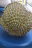 小憨哇泰国金枕头榴莲新鲜带壳进口应季水果整箱精品老树果整箱批发鲜果 净重2.5-3斤 实拍图
