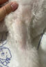 帅哲宠物药浴狗狗皮肤病沐浴露狗癣真菌感染皮屑掉毛杀菌洗澡止痒洗液 300ml 1瓶 药浴 实拍图