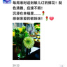 京东鲜花自然系列尝鲜版每周一花包月鲜花插花鲜切花生日礼物女源头直发 实拍图