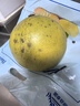京鲜生 泰国蜜柚 泰柚 青皮白心蜜柚 1粒装 单果600g+ 源头直发包邮 实拍图