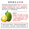京鲜生 海南老树菠萝蜜 13-17斤装 净重13斤+ 生鲜水果 源头直发 实拍图