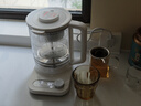 米家小米智能养生壶烧水壶电热水壶玻璃恒温壶 泡茶煮茶器一体 儿童冲奶自动保温 家用办公室1.8升P1 实拍图