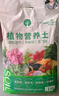 漫生活进口泥炭营养土12L绿植花土壤泥炭土花卉有机土通用种植土兰花土 实拍图