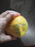 京觅湖北秭归伦晚脐橙  9斤单果170g+ 新鲜水果生鲜甜橙子 源头直发 实拍图
