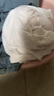 诗兰伦萨 纯棉白色t恤女短袖夏季新款宽松韩版女装百搭休闲圆领女体恤 白色-【三只小熊】 M 建议95-110斤 实拍图