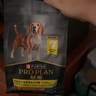 冠能狗粮成犬7岁以上老年犬狗粮400g 赋聪配方 改善认知障碍 实拍图