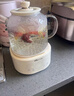 小熊（Bear）全玻璃壶体养生壶恒温壶 办公室多功能煮茶壶花茶壶 0金属养生杯 24h预约24h保温 1L YSH-P10Q7 实拍图