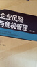 企业风险管理 风险识别与防范 实拍图