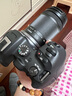 佳能r7相机 微单相机 视频直播高清eos r7 APS-C画幅 直播 踏青 微单 R7拆单机+RF100-400USM【超远摄变焦】 套餐四【拍套四0元升级套餐五 免费升级不加价】 实拍图