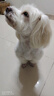 麦富迪狗粮 藻趣儿狗粮成犬粮牛肉螺旋藻 均衡营养2.5kg 实拍图