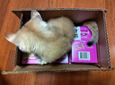 伟嘉猫罐头软包猫湿粮主食妙鲜包幼猫猫粮(金枪鱼+海洋鱼)味85g*6 实拍图