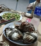 【活蟹】阳澄小斌大闸蟹 鲜活精挑特大螃蟹公蟹母蟹生鲜水产礼盒 精品特大全母蟹3.5-3.8两 十只装 实拍图