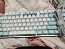 惠普（HP）GK200机械键盘有线办公游戏键盘 20种背光灯效 87键电竞键盘鼠标套装电脑外设键鼠 蓝白【键鼠套装-茶轴】 实拍图