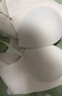 水中花前扣内衣女小胸聚拢无痕平胸专用文胸显大收副乳防下垂无钢圈美背 咖啡色【1.0cm薄杯】 L 【适合36/80AB】 实拍图