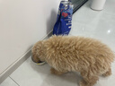 LEGENDSANDY蓝氏狗粮真鲜乳鸽中小型犬泰迪比熊生骨肉冻干鲜肉犬粮1.5kg3斤 实拍图