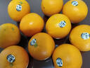 新奇士（Sunkist）橙子美国3107进口黑标橙子当季脐橙大果礼盒装 礼盒装 4500g【单果200g+】 实拍图