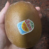 佳沛（zespri）新西兰阳光金奇异果原箱 16粒巨无霸 单果重约202-230g   猕猴桃 实拍图