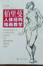 伯里曼人体结构绘画教学（白金版） 实拍图