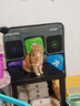皇家皇家成猫猫粮 肠道舒适 EP42通用粮12月以上10KG 实拍图
