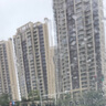 立邦 瓷砖修补剂瓷砖胶空鼓剂修复胶粘接剂松动修补瓷砖缝隙灌胶650ml 实拍图