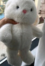 名创优品（MINISO）塔妮兔乖乖坐姿公仔毛绒玩具玩偶抱枕娃娃送女友告白生日礼物女 实拍图