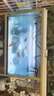 HANYANG白晶沙水草鱼缸底砂雨淋化妆白色造景细沙免洗龟缸水族养鱼2kg 实拍图