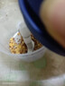 绞肉机小型打蒜器家用绞蒜切蒜器多功能辅食料理机电动蒜泥神器蒜蓉机自动切菜机压蒜器 蓝色-升级大电机 0.26L 实拍图