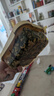 希乐扣饭盒微波炉加热专用碗上班族带饭餐盒玻璃保鲜盒分隔便当盒 二隔1040【可带盖加热】 实拍图