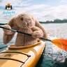 Jellycat害羞米色邦尼兔毛绒玩具柔软安抚玩偶公仔送礼潮玩娃娃生日礼物 米色 Medium 实拍图