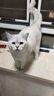 麦富迪猫粮 超肉粒冻干双拼粮10kg 幼猫（冻干三文鱼） 实拍图