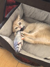 珑小宠狗窝猫窝宠物窝夏天季舒适透气四季通用保暖狗垫大型犬小型犬 灰色S号10斤内 实拍图