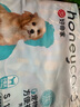 HONEYCARE狗狗纸尿裤公狗尿不湿尿片安全裤 S适用体重4-7kg/12片装 实拍图