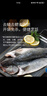 海名威 冷冻三去海鲈鱼450g/条 (配料包)深海鱼 生鲜鱼类 海鲜水产 实拍图