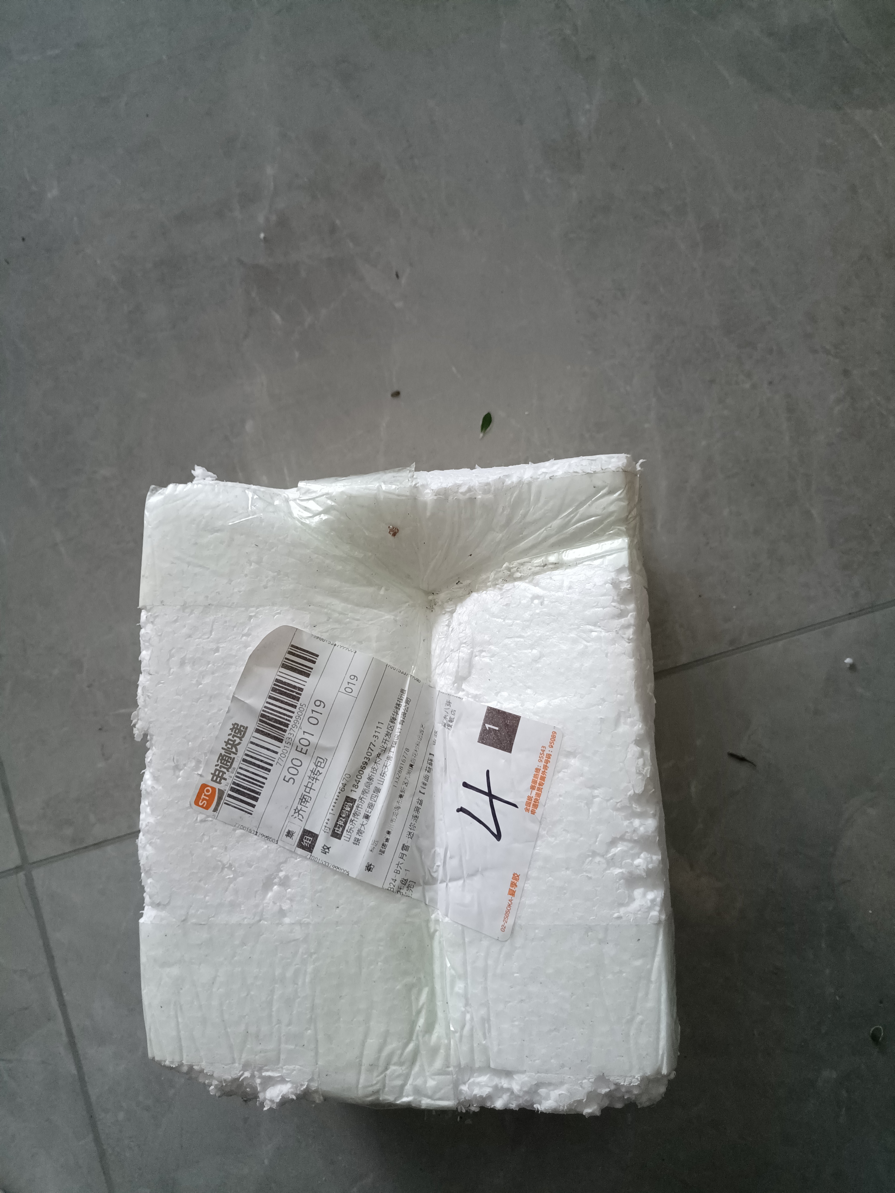 八芽六月雪盆栽办公室绿植桌面好养花卉植物室内摆件禅意四季常青盆景 六月雪-小涟漪盆-密胺托盘 带盆栽好 实拍图