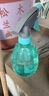 喷壶浇花浇水喷雾器气压式喷水壶家用园艺养花500ml 南瓜喷壶透粉【1个装】 实拍图