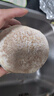 生鲜密语 广西荔浦芋头 正宗荔浦芋 新鲜香芋 火锅食材 生鲜蔬菜 当季新货 2-4个2kg 净重3.9斤 1份装（超值划算） 实拍图