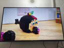 Vidda 海信电视43英寸 R43 二级能效版 全高清护眼 以旧换新家电国家补贴超薄游戏液晶电视43V1FD-R 实拍图